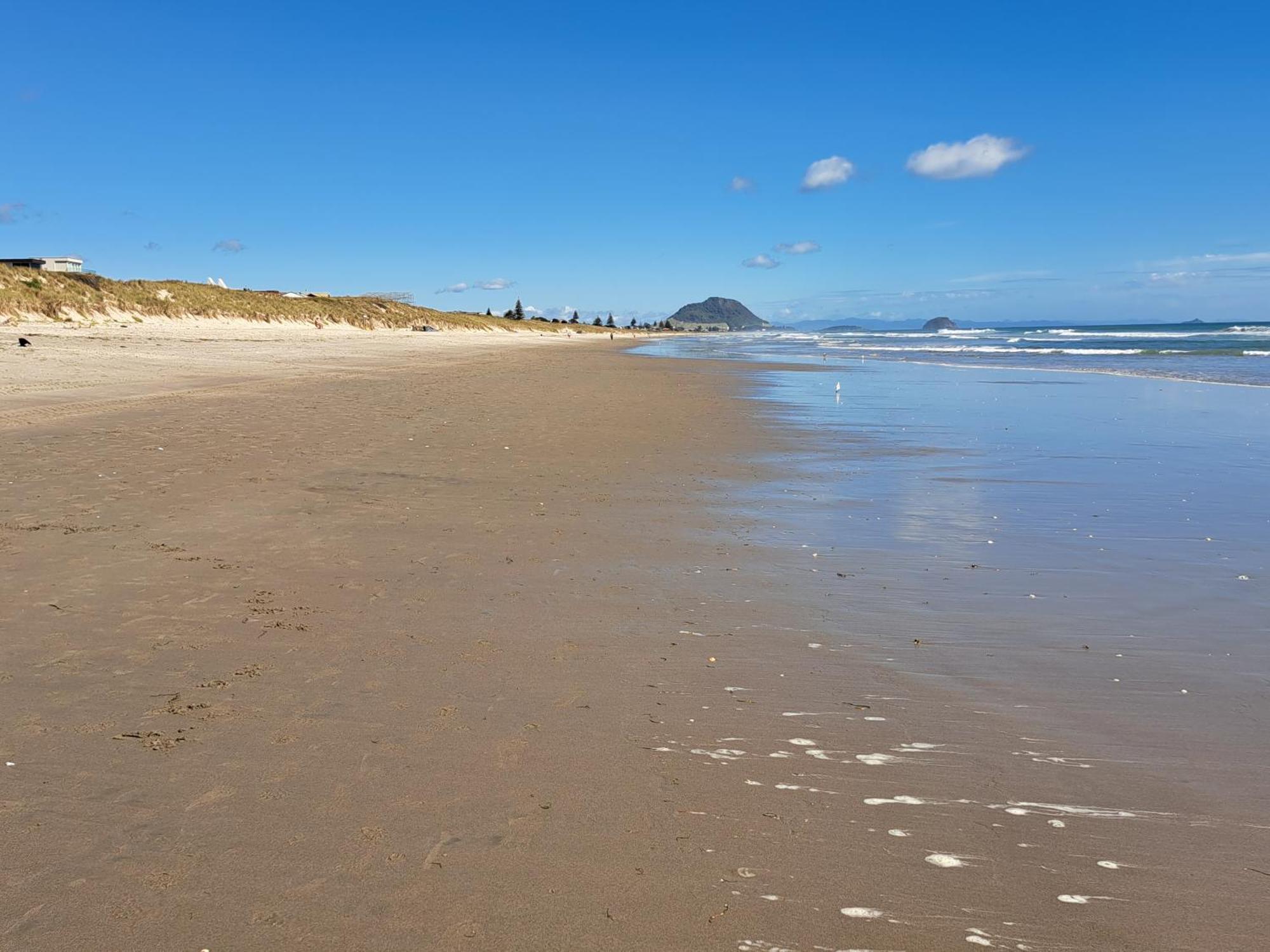 Sunbrae Beach 마운트마운가누이 외부 사진